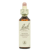 Bach Flowers 35 White Chestnut 20 ml