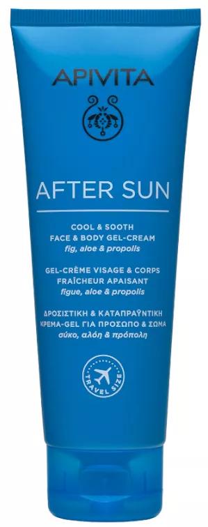 Apivita Cool & Sooth After Sun Gel Creme de Viagem Formato 100 ml