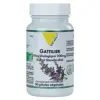 Vit'all+ Gattilier 200mg Bio 90 gélules végétales