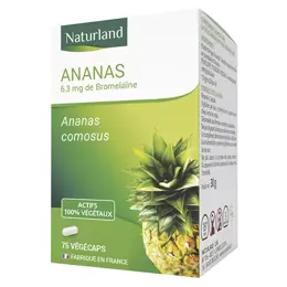 Naturland Ananas Tige 75 végécaps