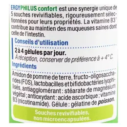 Nutergia Ergyphilus Confort Probiotiques 60 gélules