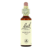 Bachblüten Mimulus 20ml