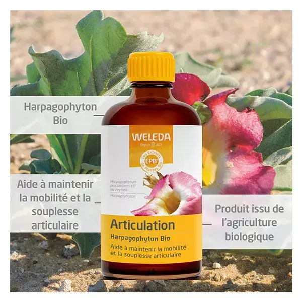 Weleda EPB® Harpagophyton Bio - Articulation 100 ml