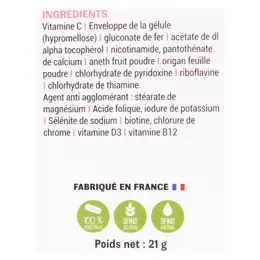 Phytalessence Vitaphyt Grossesse et Allaitement 60 gélules