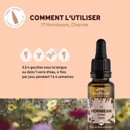 Biofloral Fleur De Bach 17 Hornbeam Charme Compte Gouttes Bio Demeter 20 ml