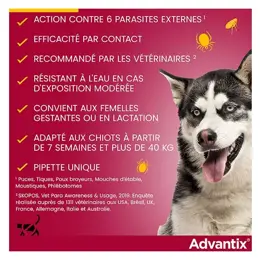 Advantix Chien Solution Antiparasitaire Très Grande Race 40 à 60kg 4 pipettes