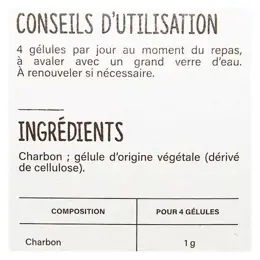 Nutrisanté Vitavea Les Nutri'Sentiels Bio Charbon Végétal Activé 40 gélules