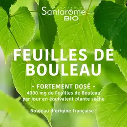 Santarome Bio - Jus de Bouleau Bio - Draine & Détoxifie - 200ml