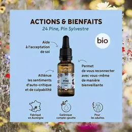 Biofloral Fleur De Bach 24 Pine Pin Sylvestre Compte Gouttes Bio Demeter 20 ml