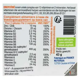 Nutergia Ergycébé 90 gélules