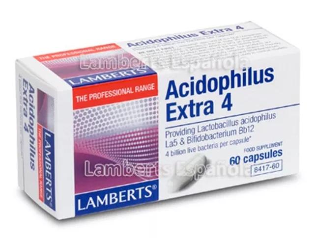 Lamberts Acidophilus Extra 4 60 Comprimidos