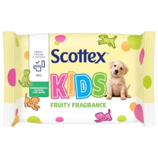 Moist toilet paper Remus Junior 80uds