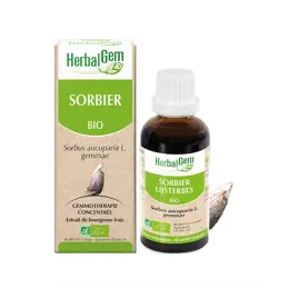 Herbalgem Macérat Concentré Sorbier Bio 30ml