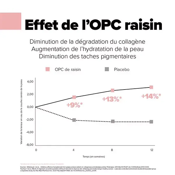 Aragan Synactifs Collagène Actifs Fermeté de la Peau Rides et Ridules 20 sticks