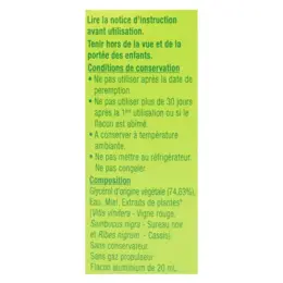 UPSA Les Élémentaires Maux de Gorge Enfant Spray Buccal 20ml