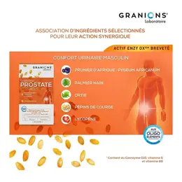 Granions Prostate Lot de 2 x 40 gélules