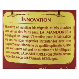 La Mandorle Boisson Instantanée en Poudre Lait d'Amande Châtaigne Bio 400g