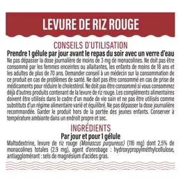 Dayang Levure de Riz Rouge 90 gélules