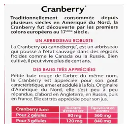 Juvamine Formule Concentrée Cranberry 60 gélules