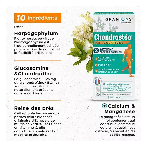 Chondrostero Discovery Format 90 tablets