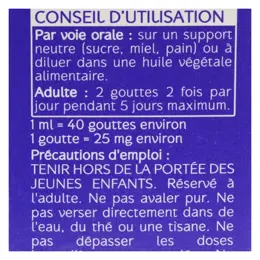 Naturactive Huile Essentielle Bio Romarin à Verbénone 5ml