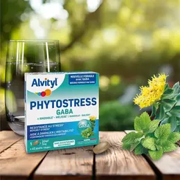 Alvityl Phytostress GABA Rhodiole Mélisse dès 12 ans 28 comprimés