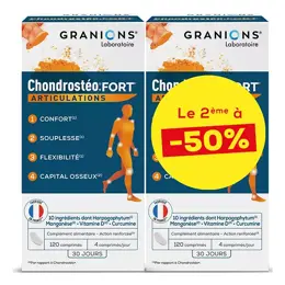 Granions Chondrostéo Fort Lot de 2 x 120 comprimés