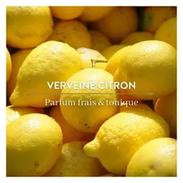 Le Petit Olivier - Éco-Recharge - Déodorant - Verveine Citron 100ml