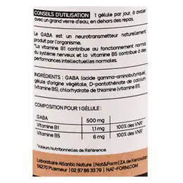 Nat & Form GABA + Vitamines B1 & B5 nervosité 30 gélules