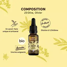 Biofloral Fleur De Bach 23 Olive Olivier Compte Gouttes Bio Demeter 20 ml