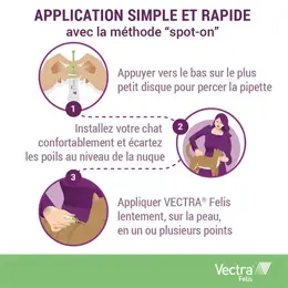 Vectra® Felis solution spot-on pour chats 3 pipettes