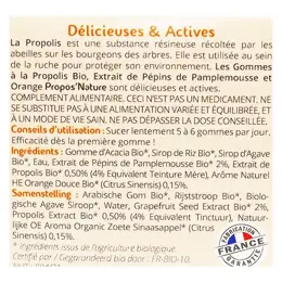 Propos' Nature Apithérapie Gomme de Propolis Pépins de Pamplemousse Orange Bio 45g