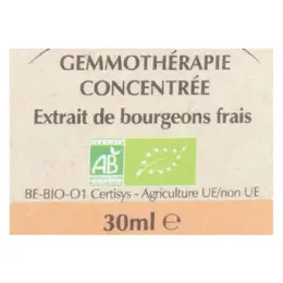 Herbalgem Complexe de Gemmothérapie Mémogem Mémoire Bio 30ml