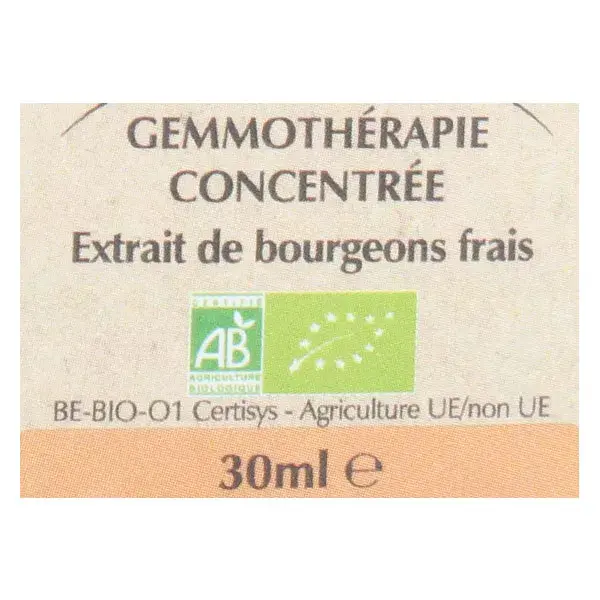 Herbalgem Complexe de Gemmothérapie Mémogem Mémoire Bio 30ml