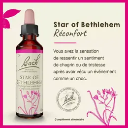 Fleurs de Bach® Original - Star of Bethlehem 20ml