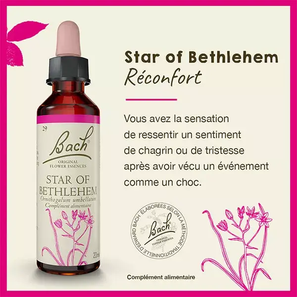 Flores de Bach 29 estrella de Bethlehem - estrella de Beln 20ml