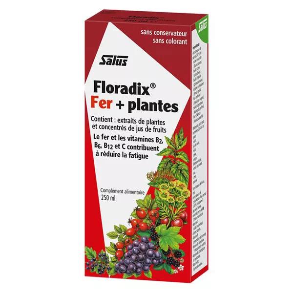Tonique Floradix Fer + B12 Végétalien 250ml - Salus Pharma, Complément Alimentaire Liquide, Neuf, PZN05101651