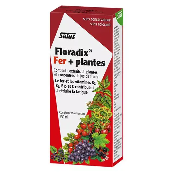 Salus Tónicos Floradix Hierro + Plantas 250ml