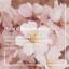 Crema de Weleda almendra confort absoluto 30ml
