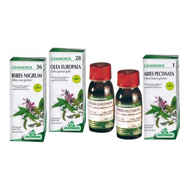 Specchiasol Gemmosol 42 Sequoia Gemmoderivato 50 ml