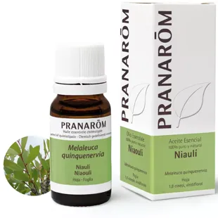 Niauli Ätherisches Öl Pranarom 10ml