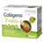 Ynsadiet Zentrum Collagen with Matcha Tea 30 Sachets