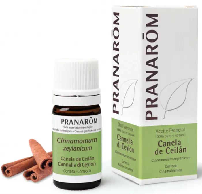 Ceylon Kaneel Essentiële Olie Pranarom 5ml