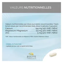 Biocyte Cal Mag Zinc Liposomal 60 gélules