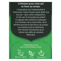 Yogi Tea Equilibre Thé Vert 17 sachets