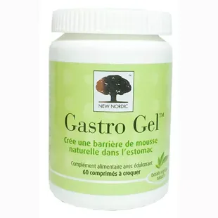 New Nordic Gastro Gel 60 compresse masticabili