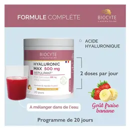 Biocyte Smoothie Hyaluronic Max 280g