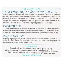 Nutrigée Thé détox maté bio 30 sachets fraîcheur