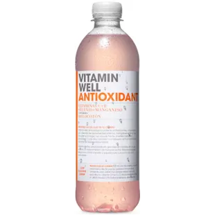 VITAMIN WELL Pêssego antioxidante 12x500 ml