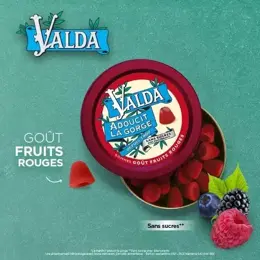 Valda Gommes Sans Sucres Fruits Rouges Adoucit La Gorge 140g